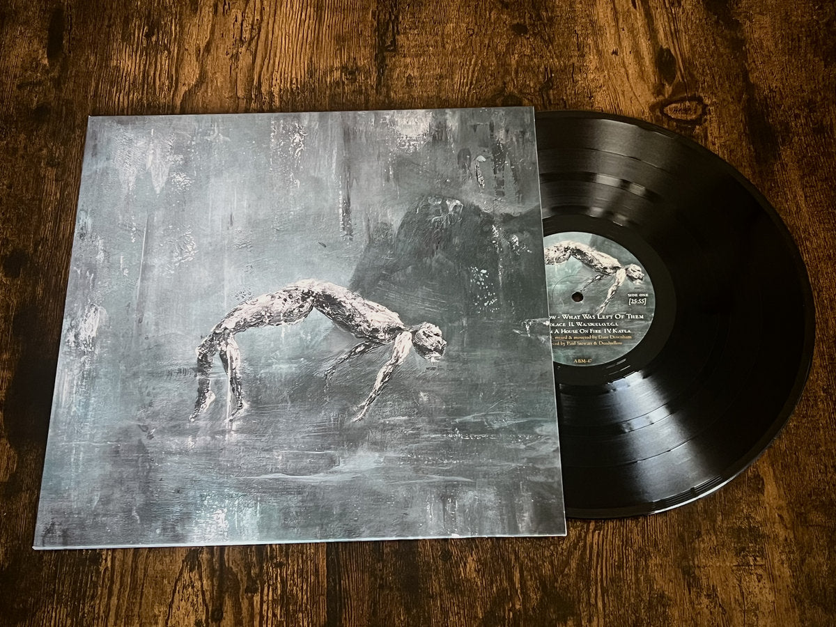 Deadyellow - What Was Left of Them LP