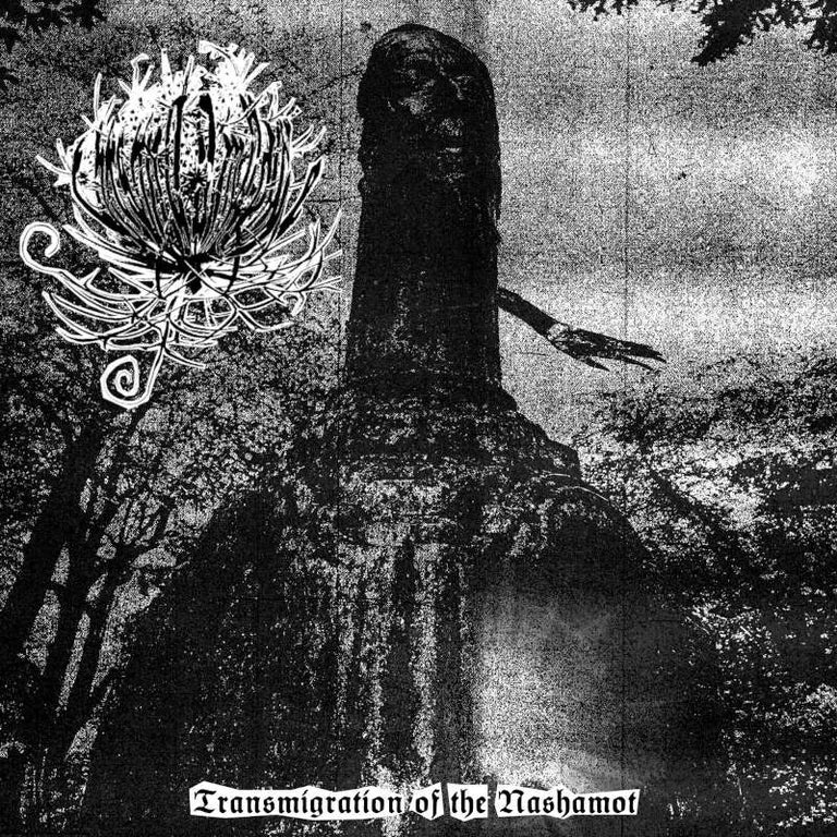 Thirsting Ampoule - Transmigration of the Nashamot LP