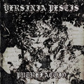Yersinia Pestis - Putrefactio LP