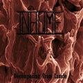 Inhume - Decomposing From Inside LP