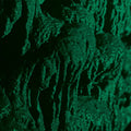 Ch'ahom - Excavation LP