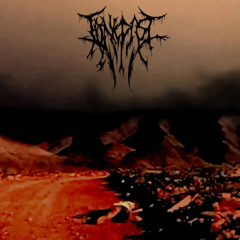 Edenic Past - Red Amarcord LP