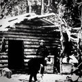 Northern - Cabin Fever LP