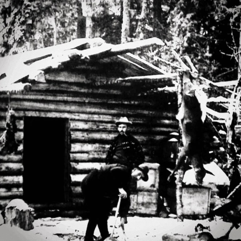 Northern - Cabin Fever LP