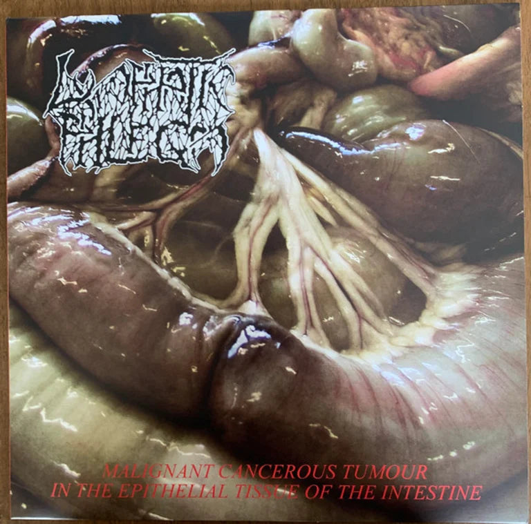Flesh Grinder / Lymphatic Phlegm - From Rotten Process... to Splatter /Malignant Cancerous Tumour LP