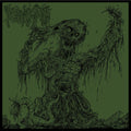 Fulminate - Agony Resonates Pleasantly CD