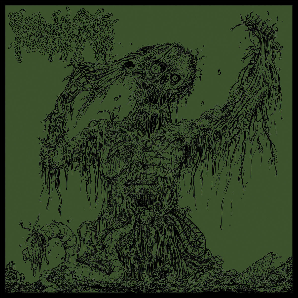 Fulminate - Agony Resonates Pleasantly CD